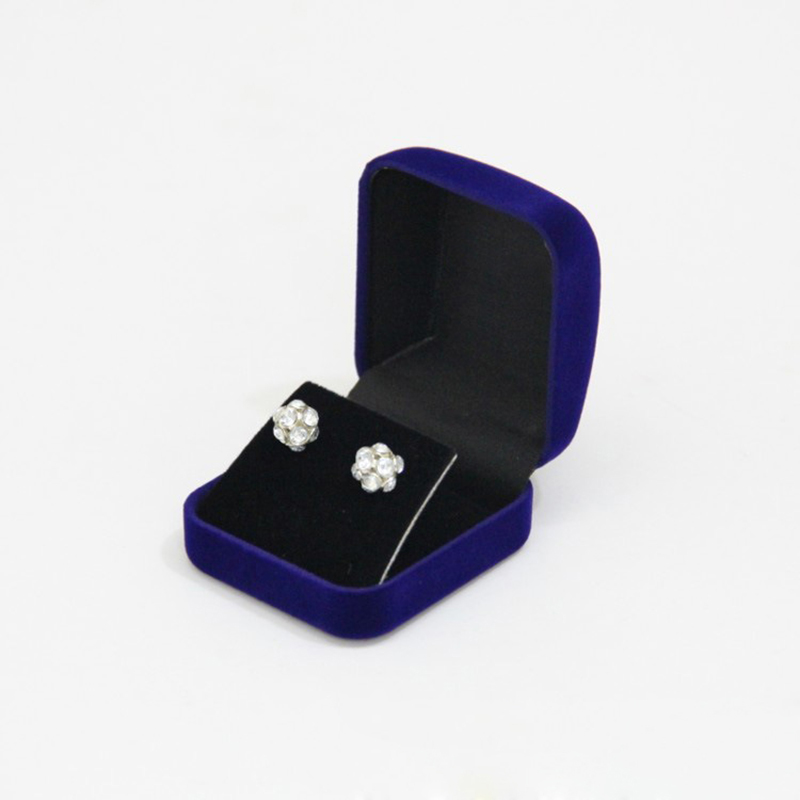 Stud Earrings Storage Box Drop - Body Jewelry Display 评论和价格