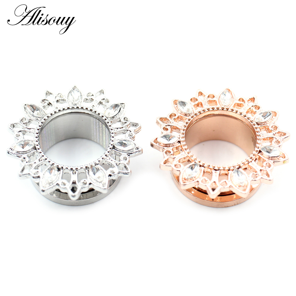 Alisouy 2pcs Stainless Steel F - Body Jewelry Ear Gauges 评论和价格