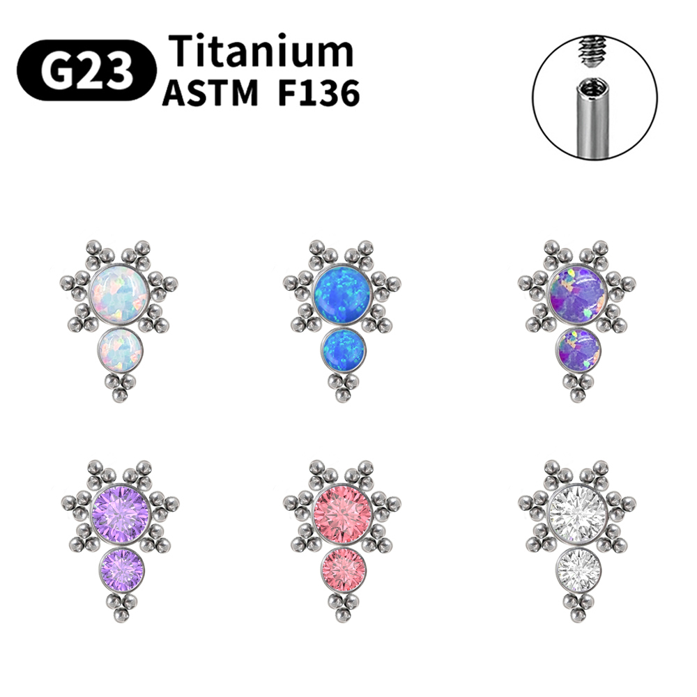 G23 Titanium Piercing Stud Ear - Body Jewelry Labret 评论和价格