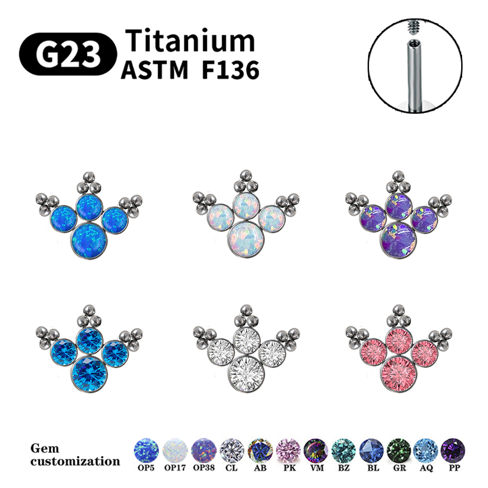 G23 Titanium Piercing Stud Ear - Body Jewelry Labret 评论和价格