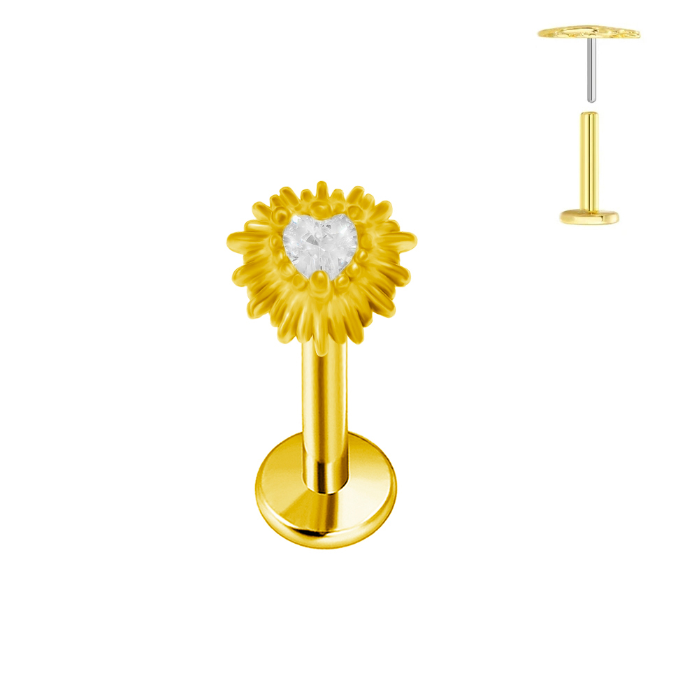 ASTM F136 G23 Titanium Heart-s - Body Jewelry Labret 评论和价格